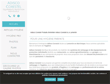 Tablet Screenshot of corestel.net
